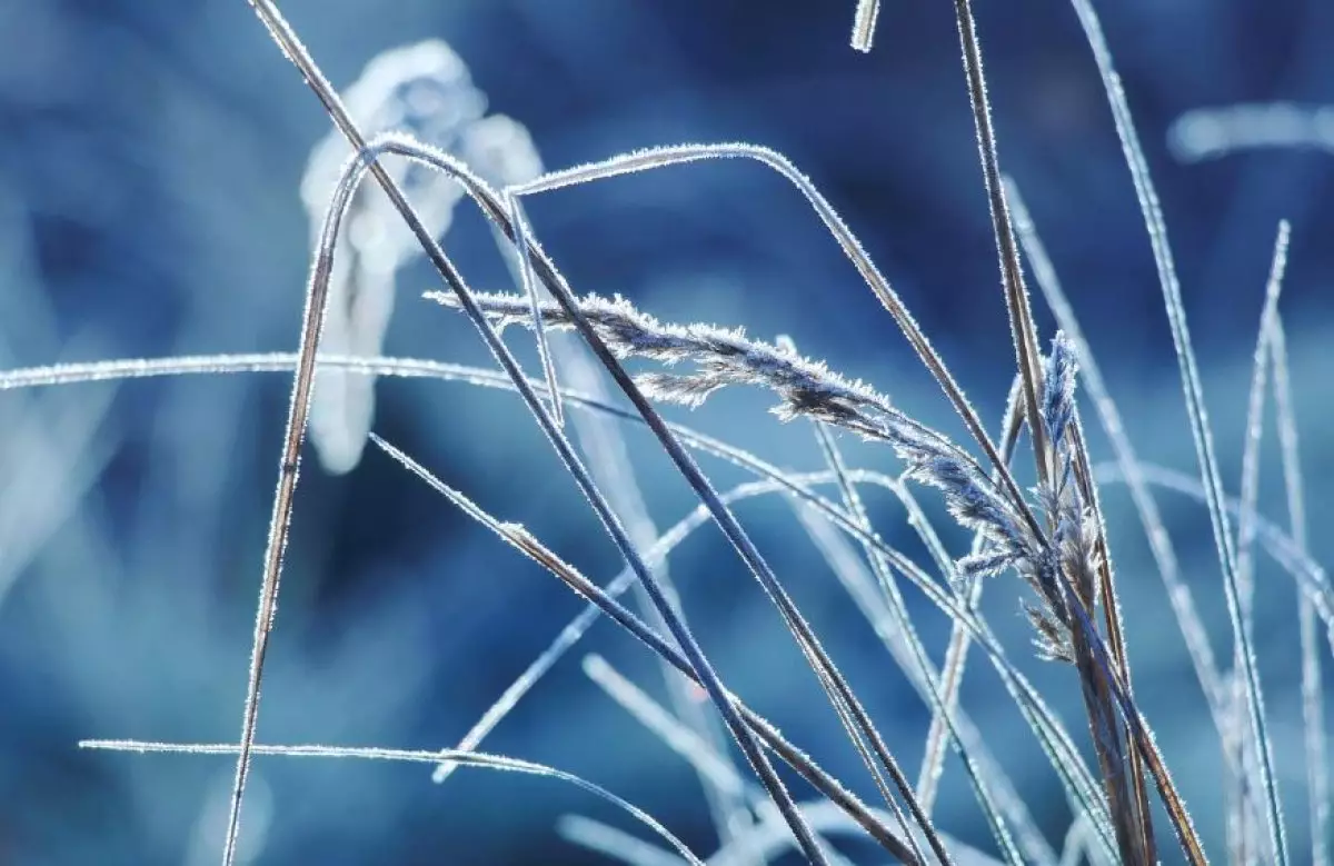 Бүгін еліміздің басым бөлігінде ауа райы қолайсыз болады