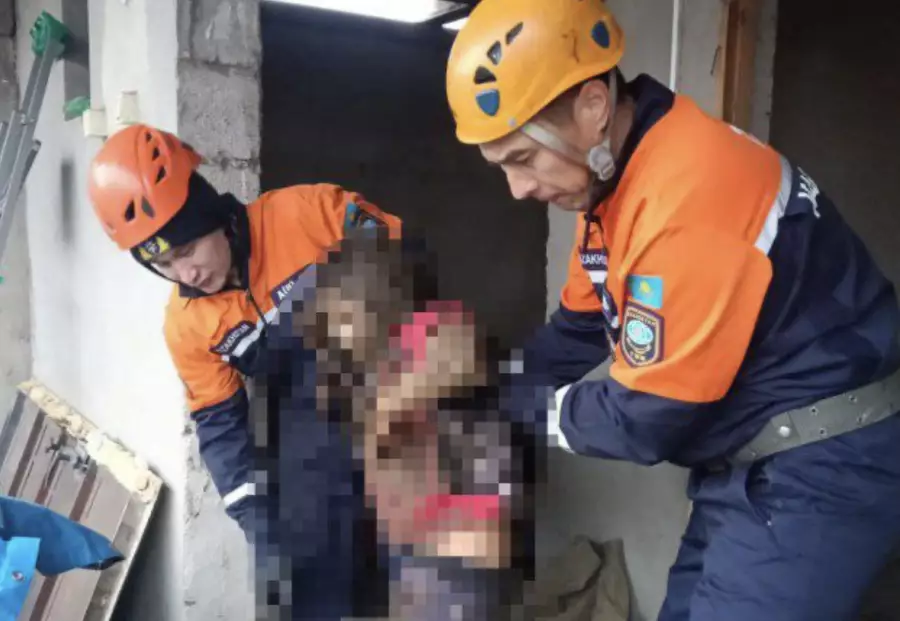 Жамбыл облысында қыз әжетхана шұңқырына құлап кеткен