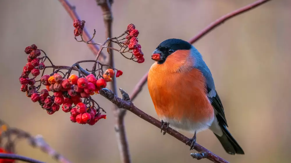 Где потеплеет, а где ударят морозы: погода в Казахстане на 3 дня