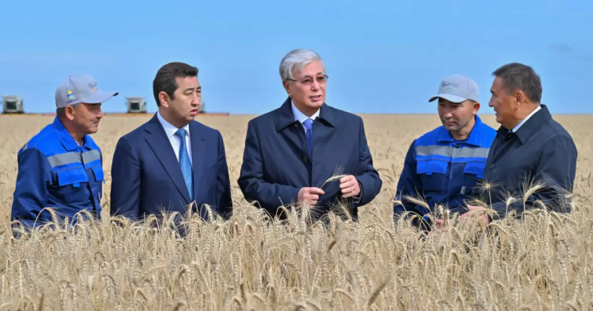   Шаруаларға көрсетілген қолдаудың көлемі 10 есе артты – Президент   