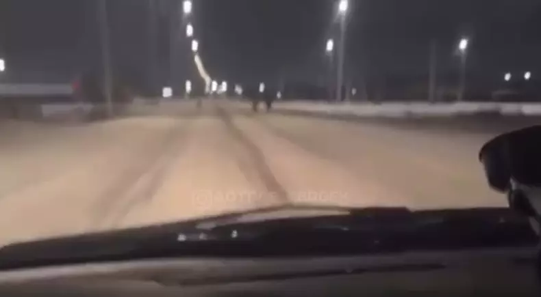 Атырауда жүргізуші жолдағы итті қағып, тоқтамай кетіп қалған