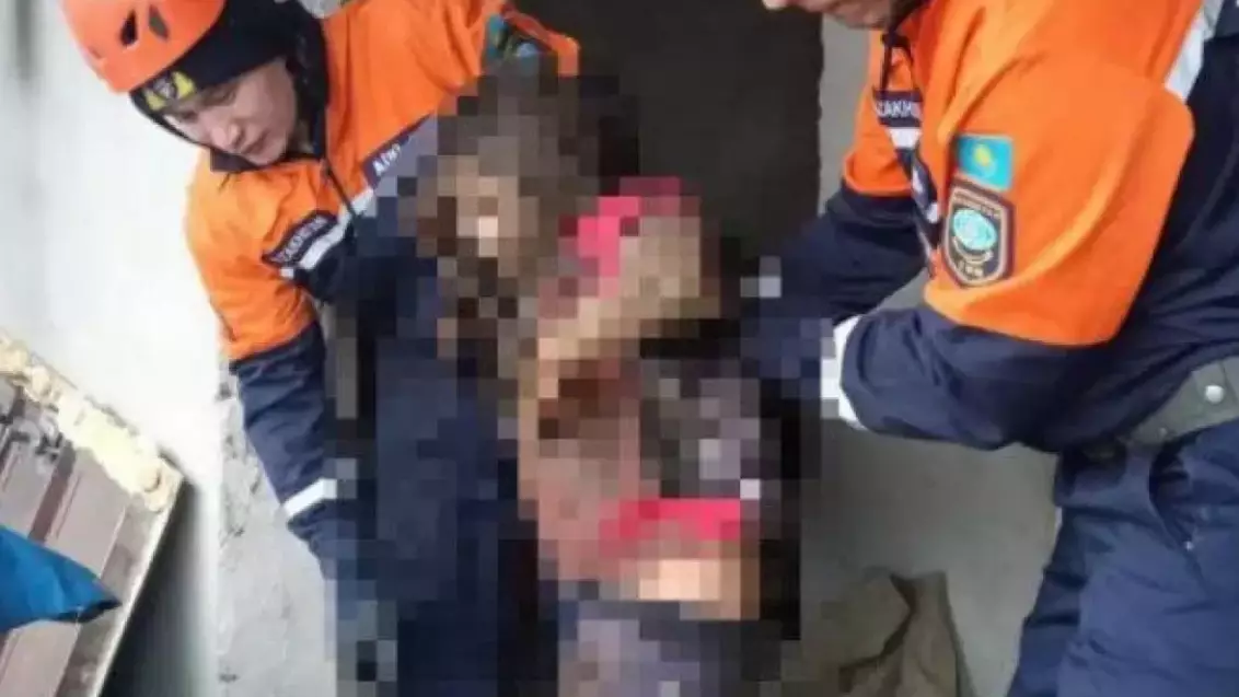 Жамбыл облысында 11 жастағы қыз оқыс оқиғаға тап болды