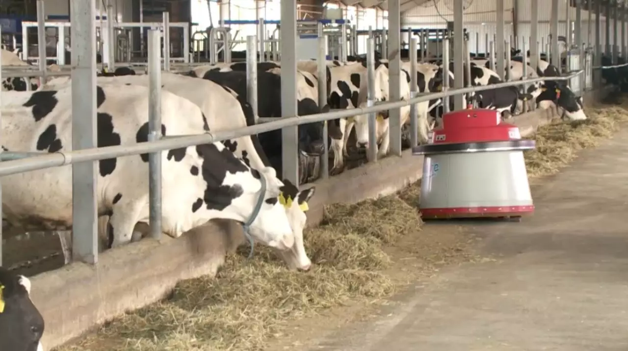 Шаруаларды қолдау көлемі 10 есе артты