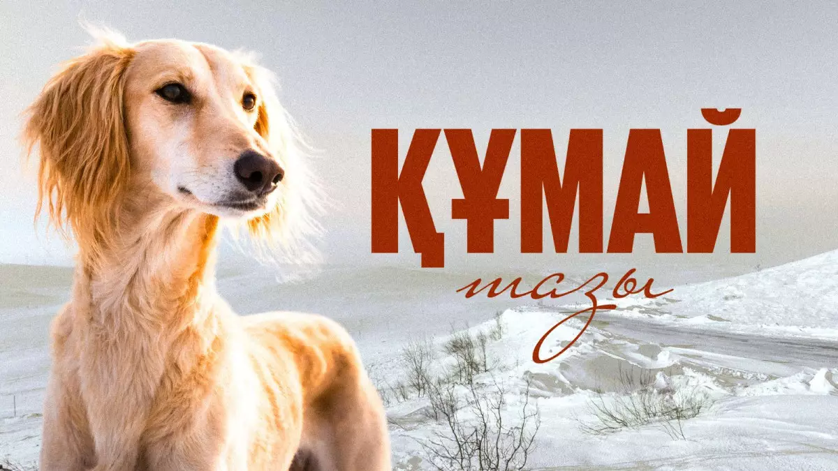 Құмай тазы - қазақ даласының киесі, көшпелі рухтың тірі тұяғы