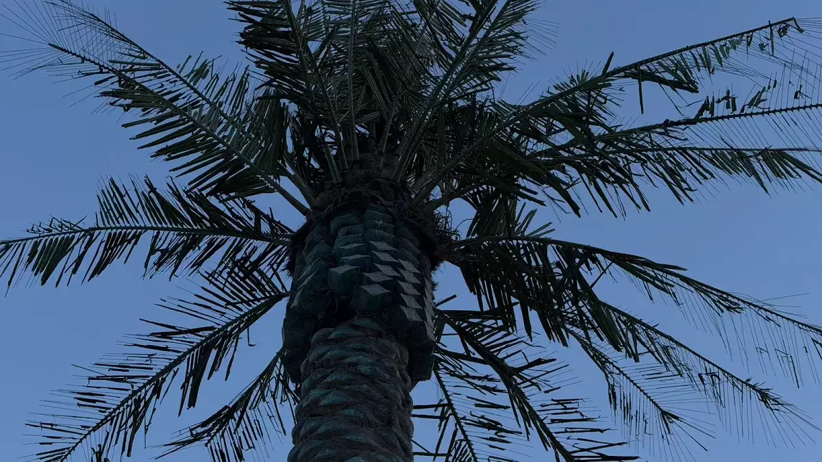 Пластмассовая роскошь Актау: облезлые пальмы на набережной шокируют жителей - новости на Lada.kz 05.01.2026