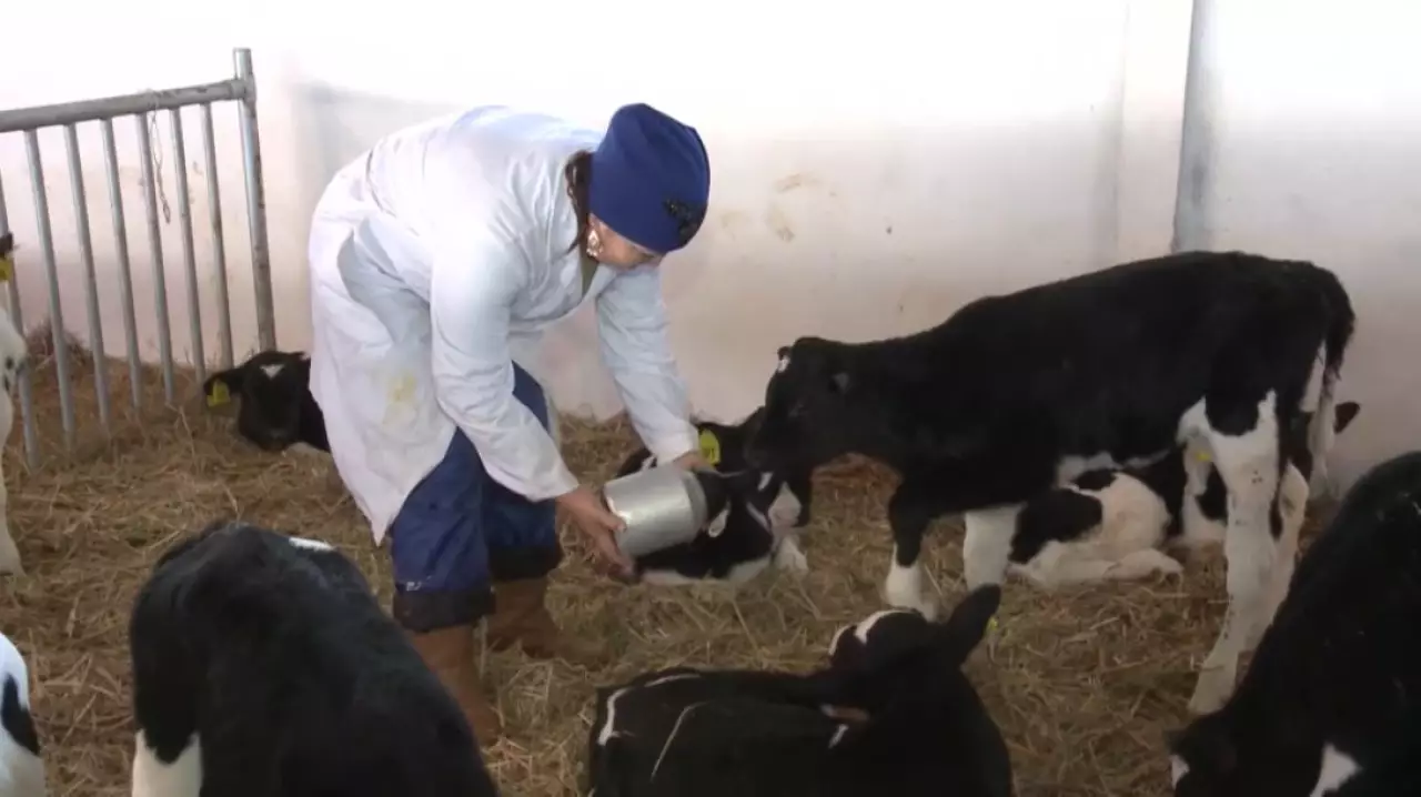 Поддержка фермеров увеличилась в 10 раз