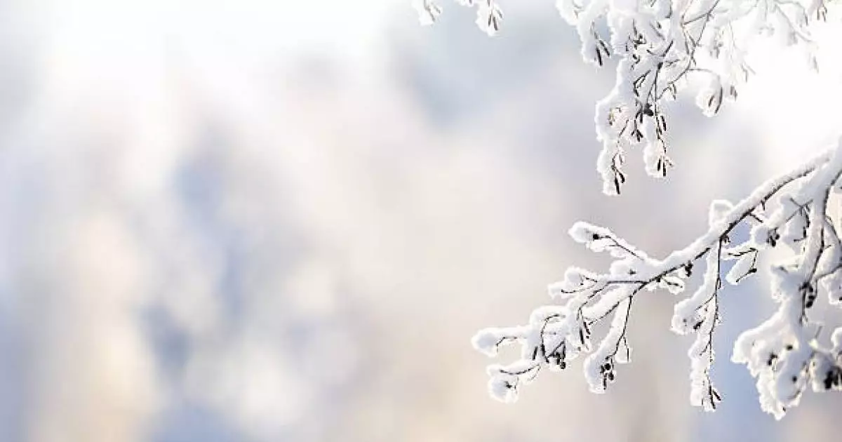  Алдағы үш күнде Алматыға тұман түсіп, Астанада аяз болады 