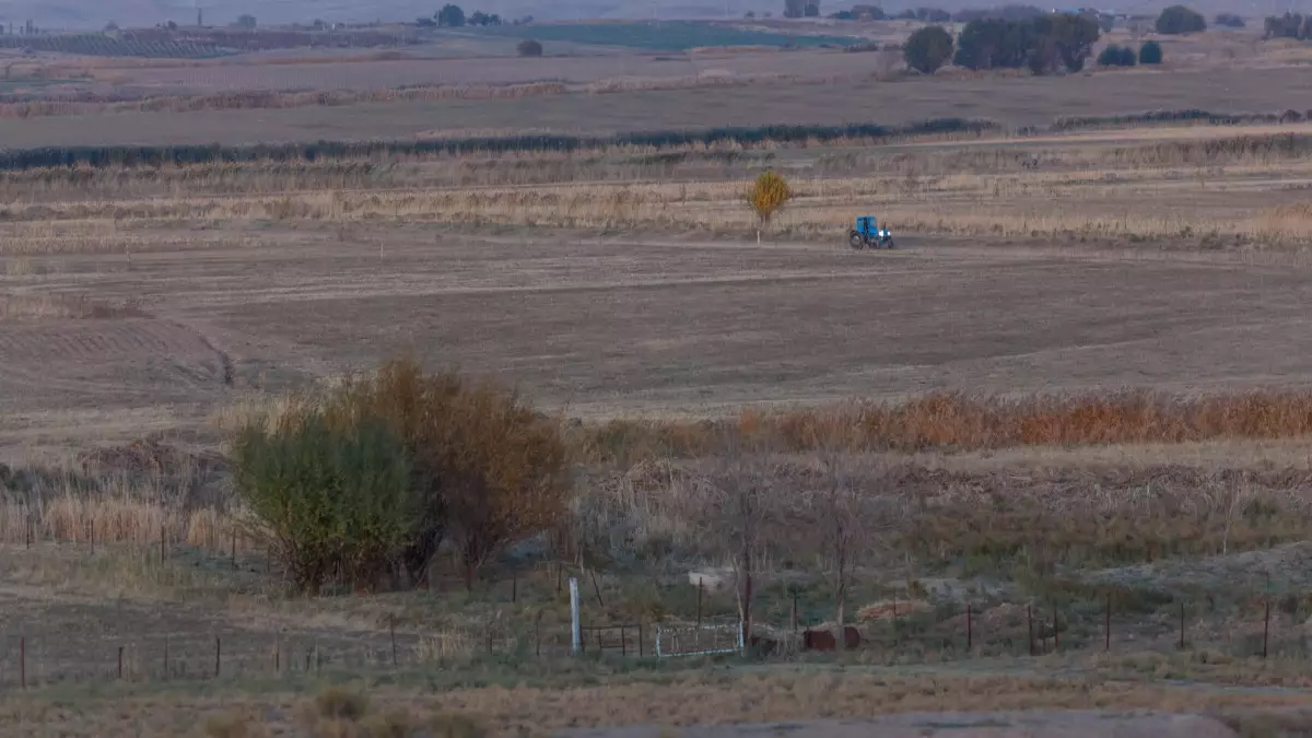 Жайылым тапшы, жер бос: Ақмолада 332 млн теңгенің жері мемлекетке өтті