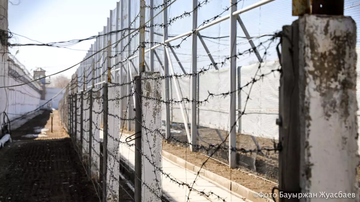Кісен салып, 4 сағат іліп қойған: Шымкенттегі түзеу мекемесіндегі азаптау фактісі тергелуде