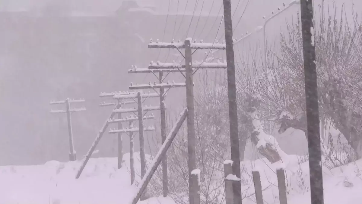 Оптоволокно упирается в изношенные сети: в Восточном Казахстане люди живут без интернета