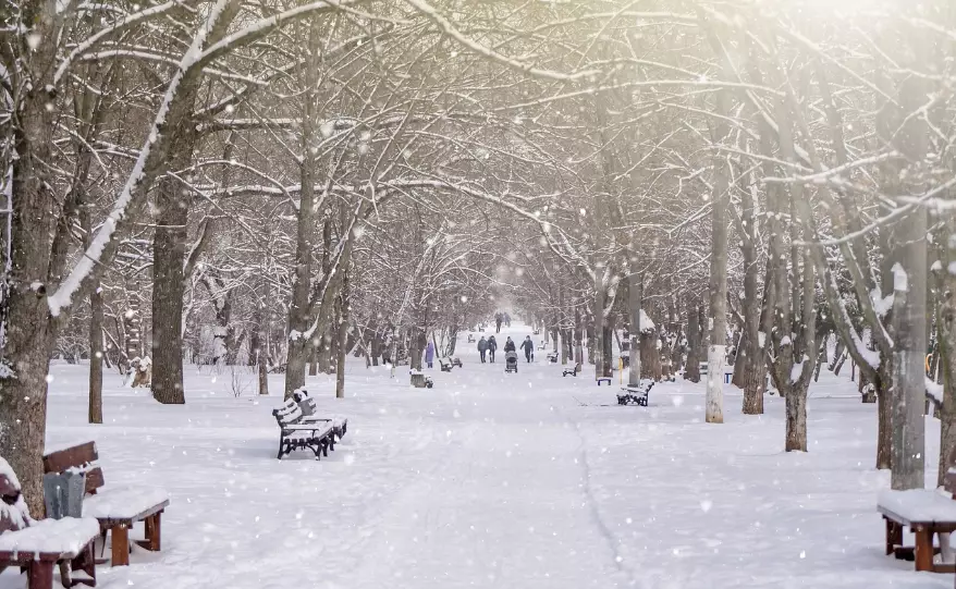 Снег и метель ожидаются во вторник почти по всему Казахстану