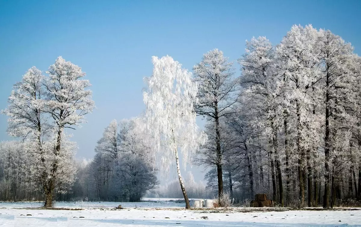 Погода снова бьёт по регионам Казахстана: метель и сильный ветер