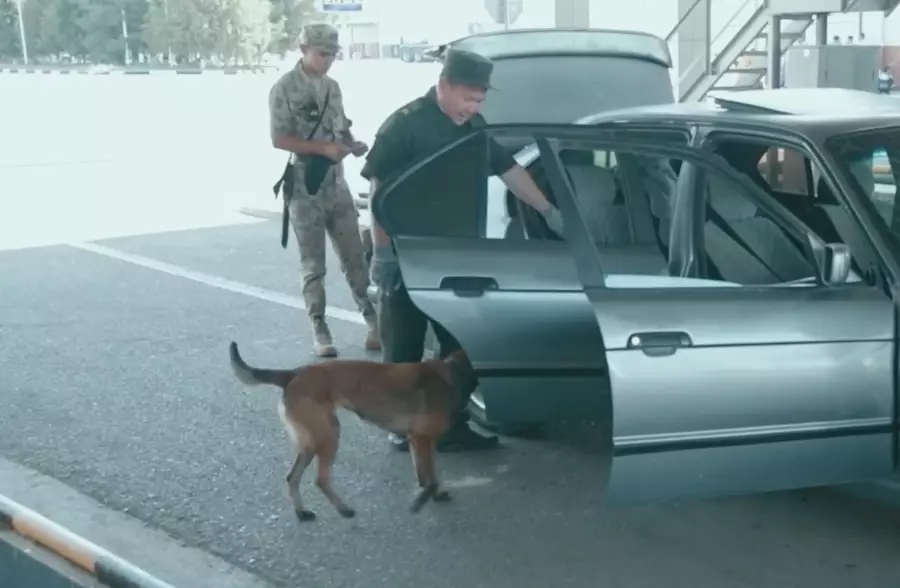 Қазақстан шекарасы арқылы 1,5 тоннадан аса есірткі тасымалы тоқтатылған