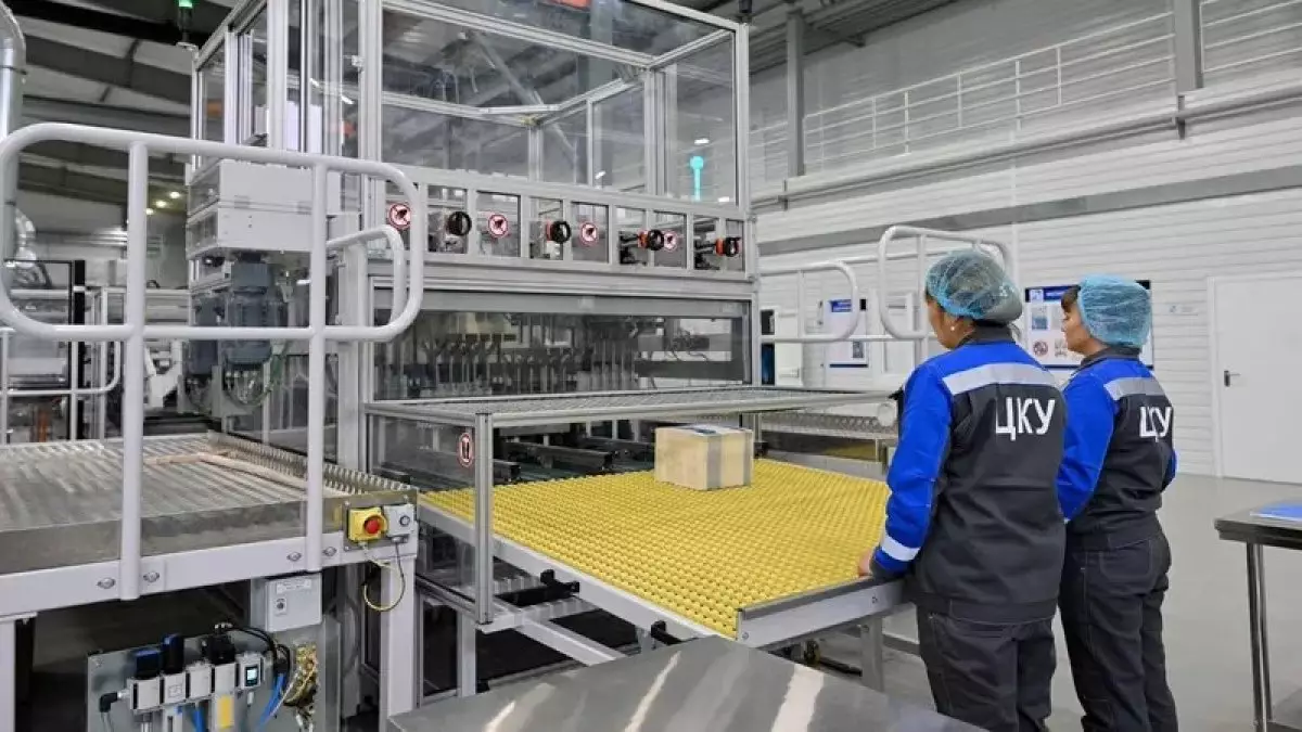 Производство 10 новых видов продукции началось в Казахстане