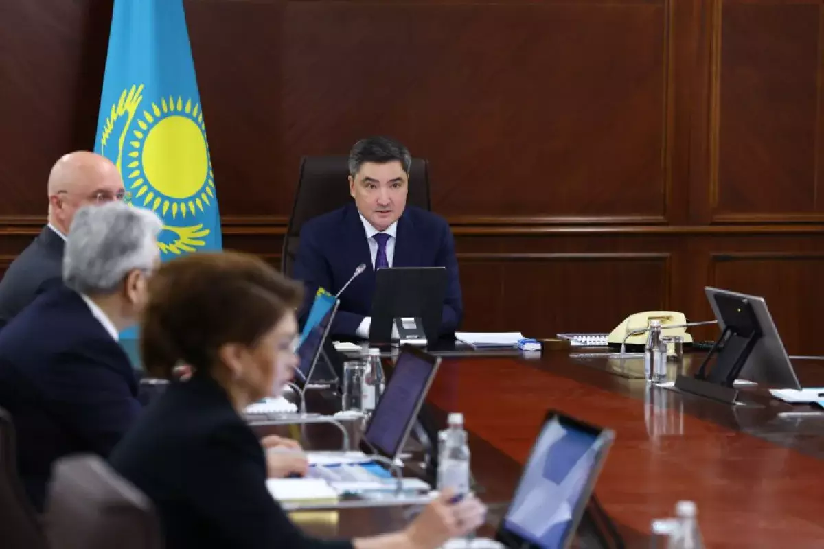 Олжас Бектенов жекеменшік мектептер мен клиникаларды артық субсидиялауды тоқтатуды тапсырды