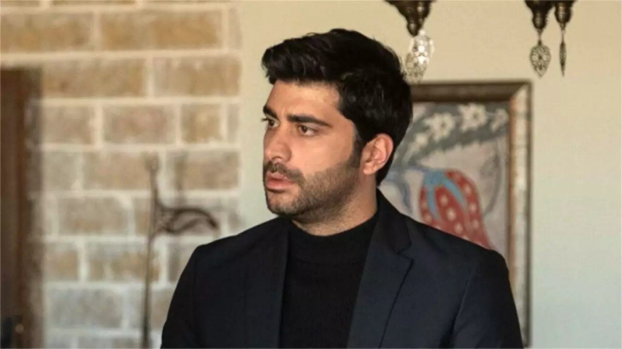 Түркияда атақты сериалдың актері ұсталды