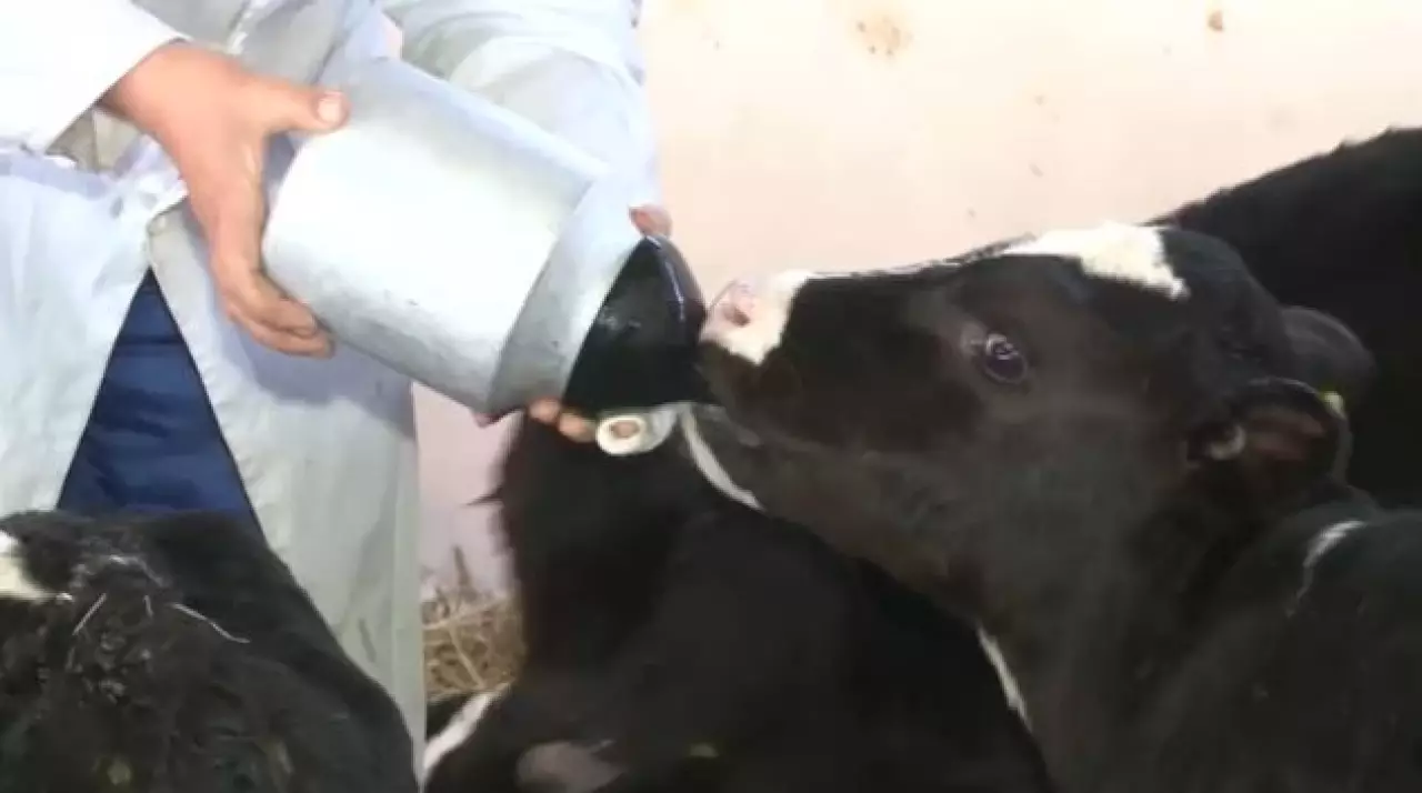 Динамику экономического роста нарастят в Казахстане