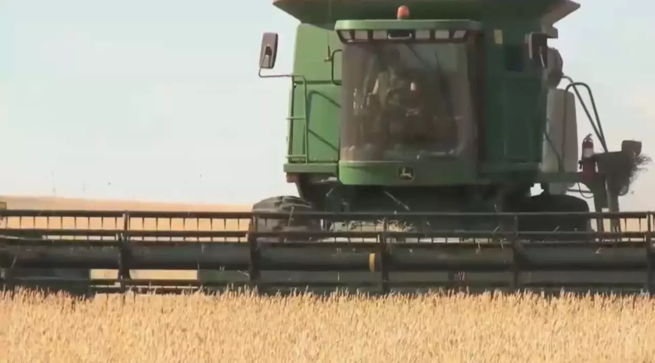 Қ. Тоқаев: Шағын шаруашылықтар жет­кі­лікті көлемде субсидия ала алмай отыр