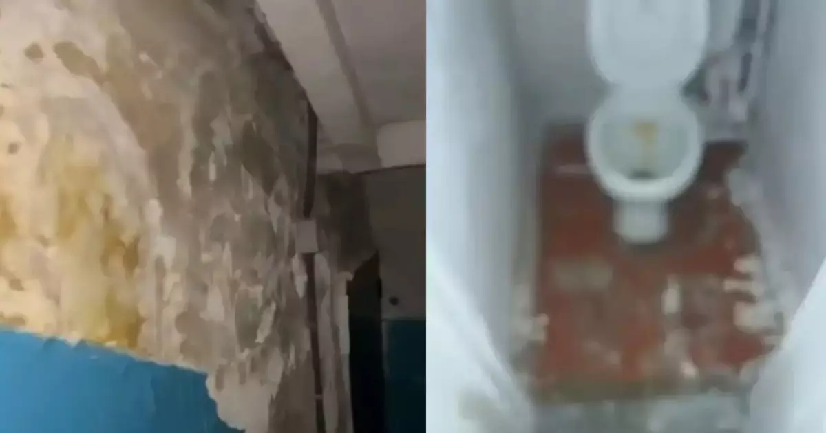  Қорадан да жаман. Алатаулық жас дәрігер қызметтік пәтердің сиқынан шошыды 