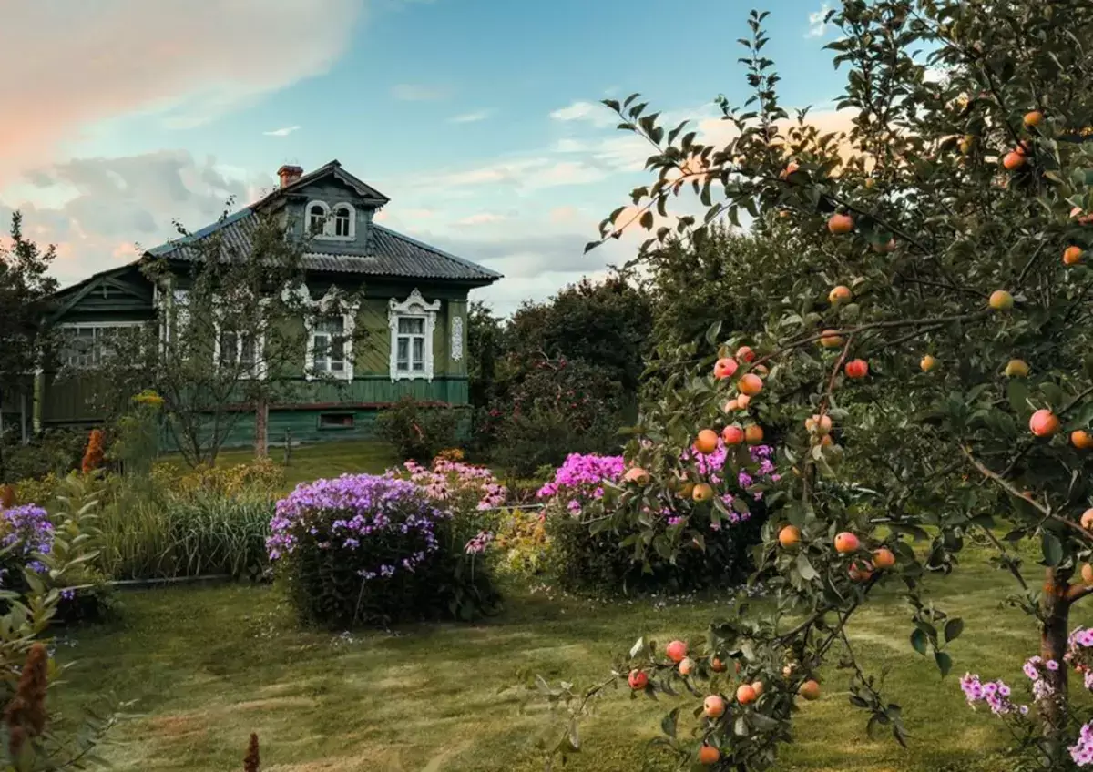 Американец в русской деревне: 7 открытий, которые потрясли его мировоззрение - новости на Lada.kz 06.01.2026