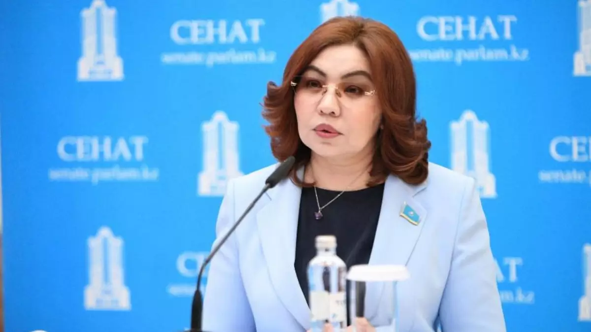 Саяси және экономикалық реформалардың жаңа кезеңі басталады – сенатор