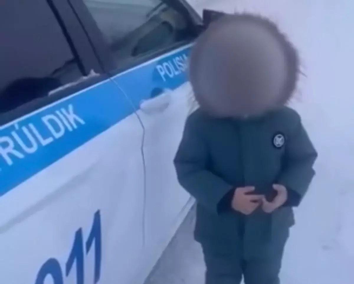 Два часа ужаса: испуганный малыш выбежал на трассу в Щучинске