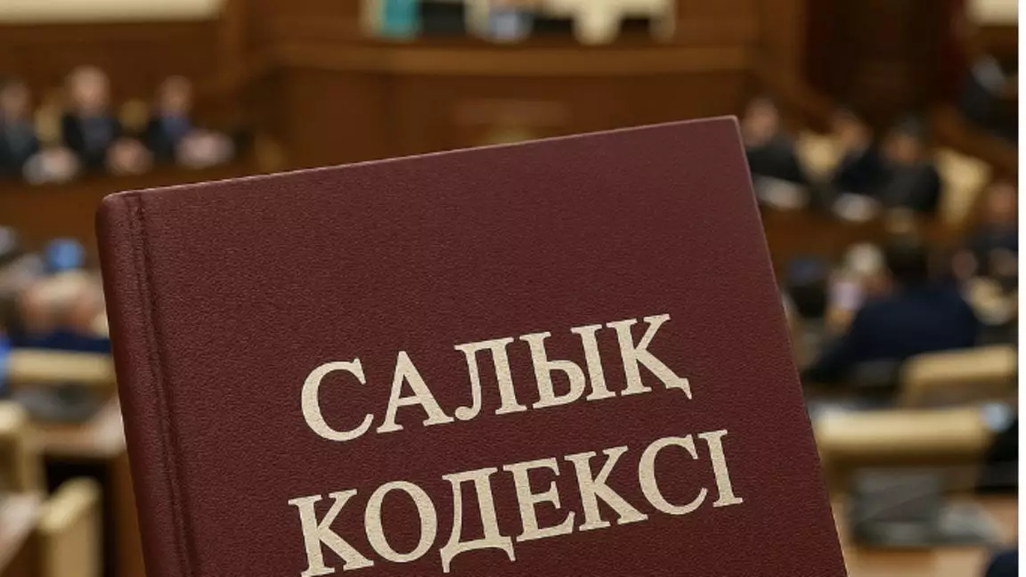 Заңгер жаңа салық кодексін тоқтатуды талап етті
