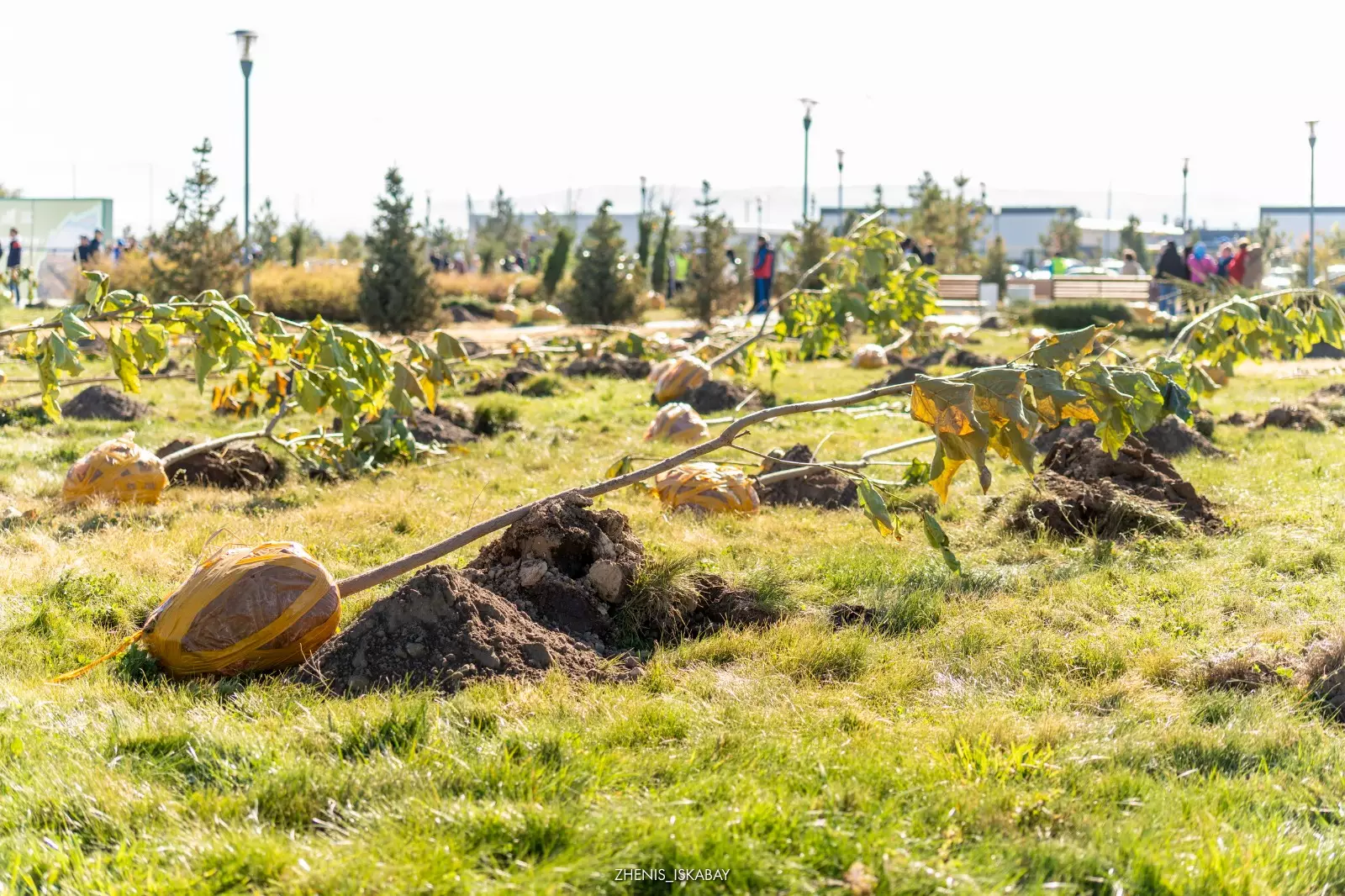 Жетісу облысында «Таза Қазақстан» аясындағы жұмыс қарқынды