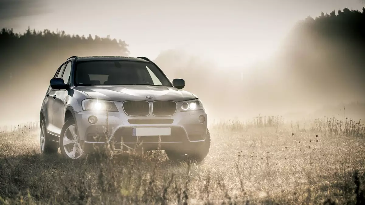 ІІМ мен ДСМ көлік айдауға болмайтын ел азаматтарын анықтады