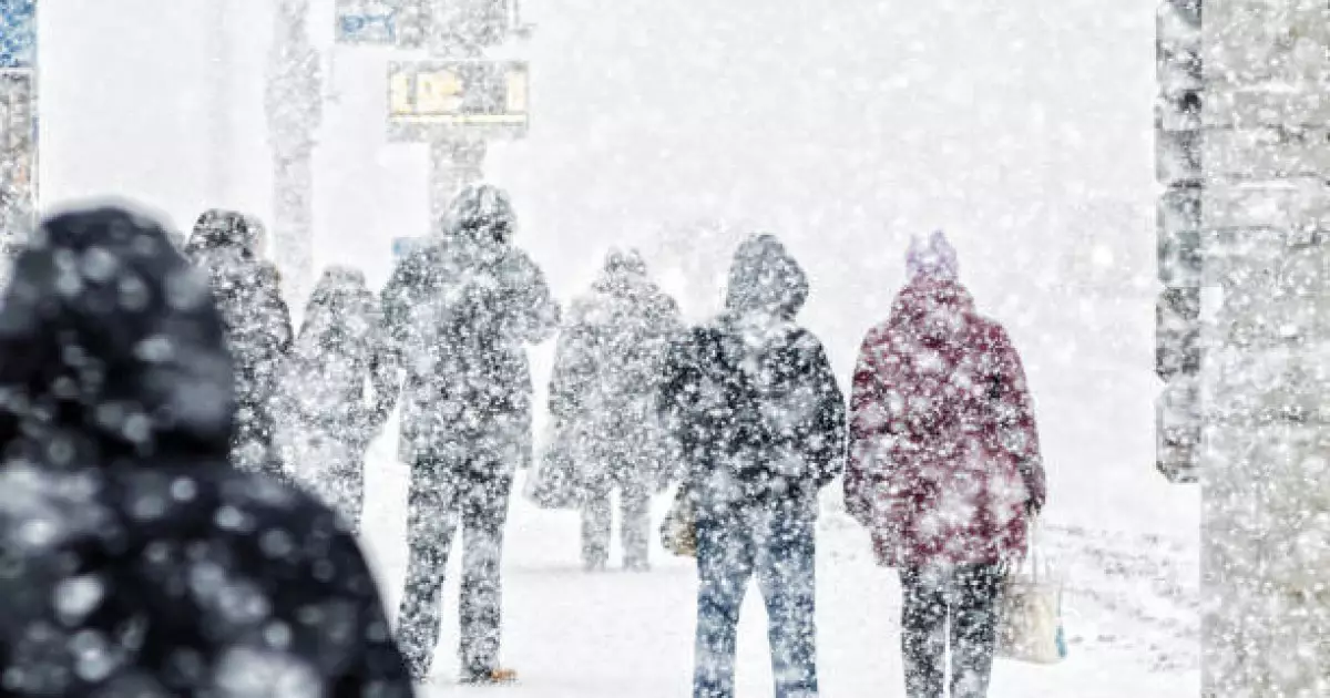   Қар жауады, жаяу бұрқасын жүреді: 7 қаңтарға ауа райы болжамы   