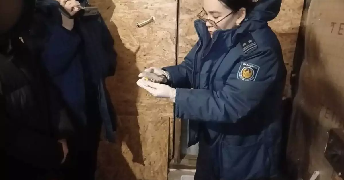  Ақмола облысында есірткіні жасырын қойып кетуші қолға түсіті (ВИДЕО) 