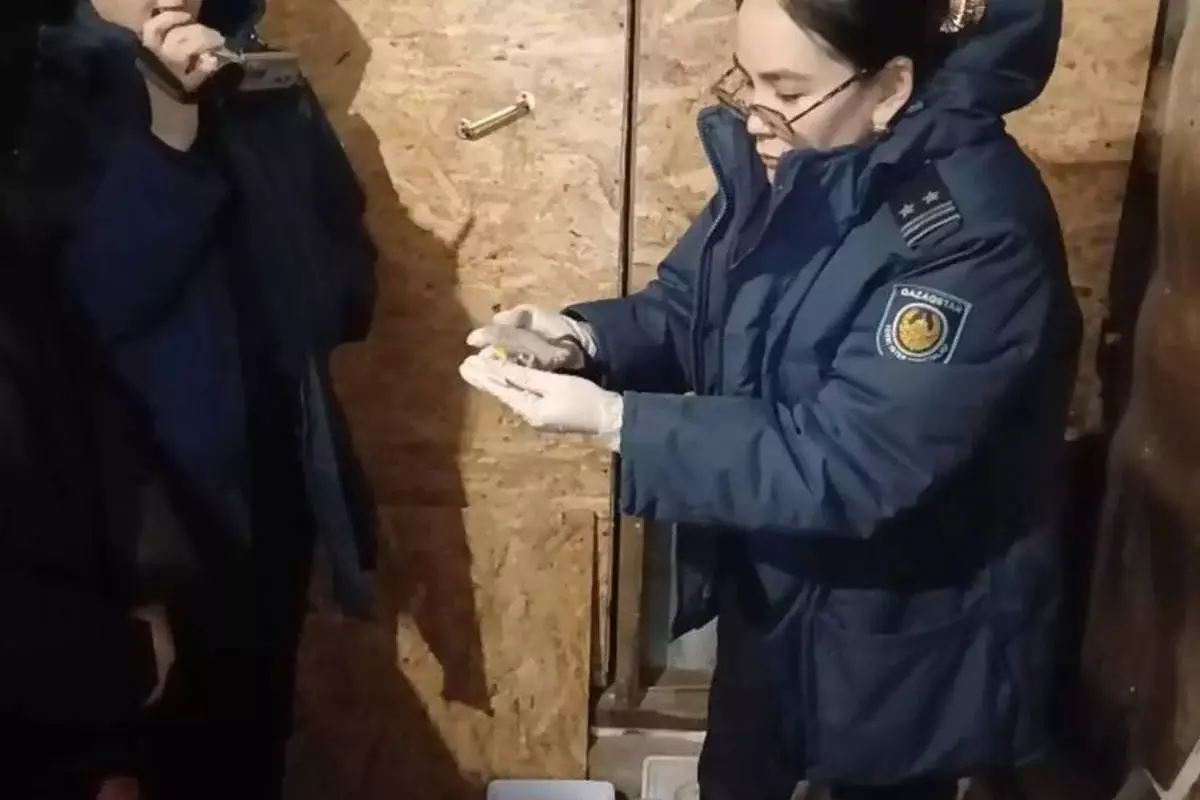 Работавшую за криптовалюту наркозакладчицу задержали в Щучинске