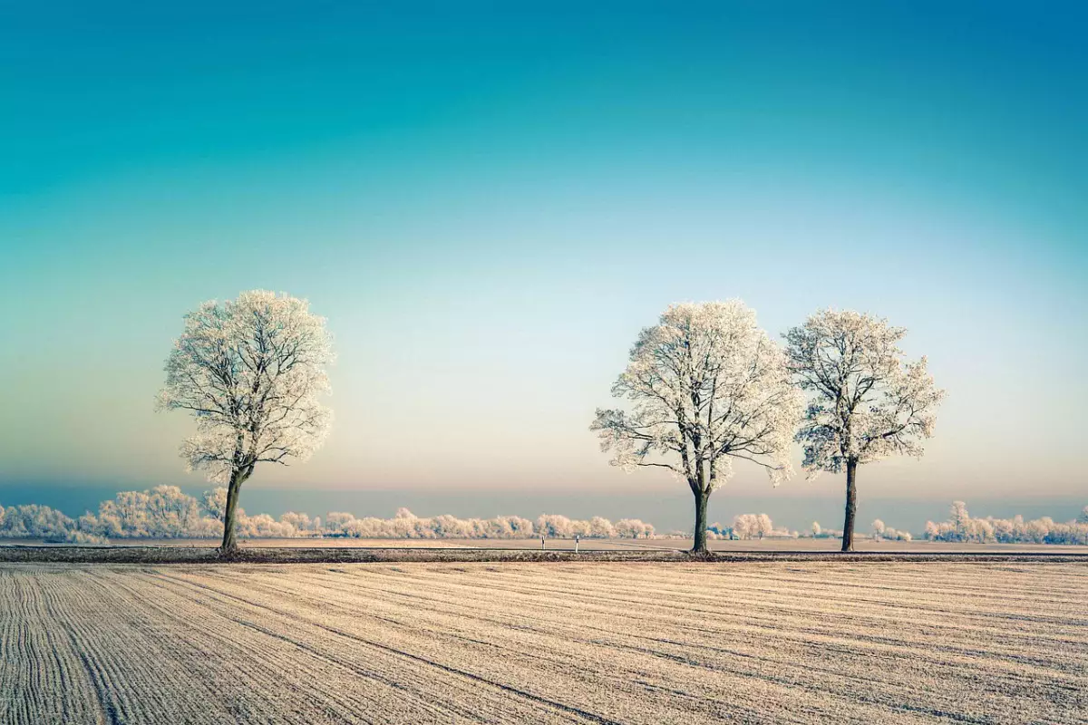 От −14 до +8: погода в Казахстане резко разделит страну