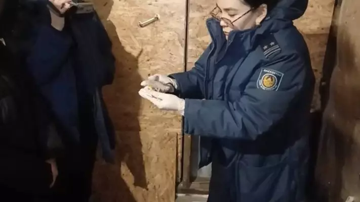 Ақмола облысында есірткіні жасырын қойып кетуші қолға түсті