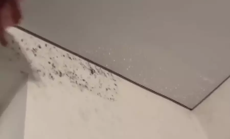 Сыз тартып, көгеріп жатыр: Нұра тұрғындары әкімдік сатып алған жаңа үйлерде тұрудан бас тартып отыр