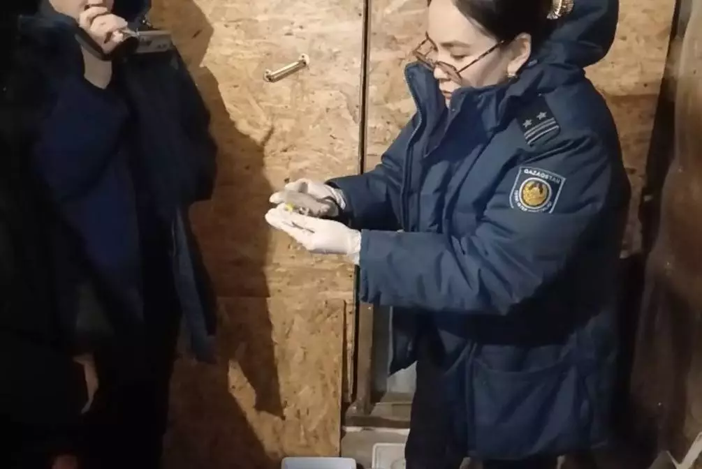 У наркозакладчицы в Щучинске изъяли 280 свертков с мефедроном