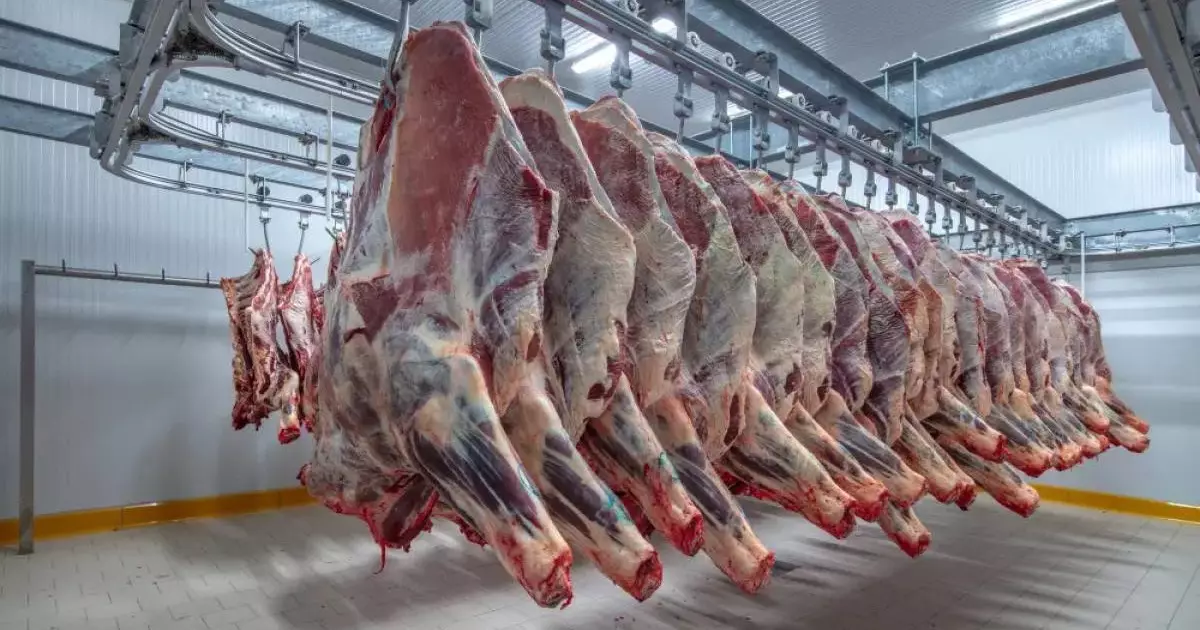  Казахстан ввёл квоты на экспорт говядины: что изменится 