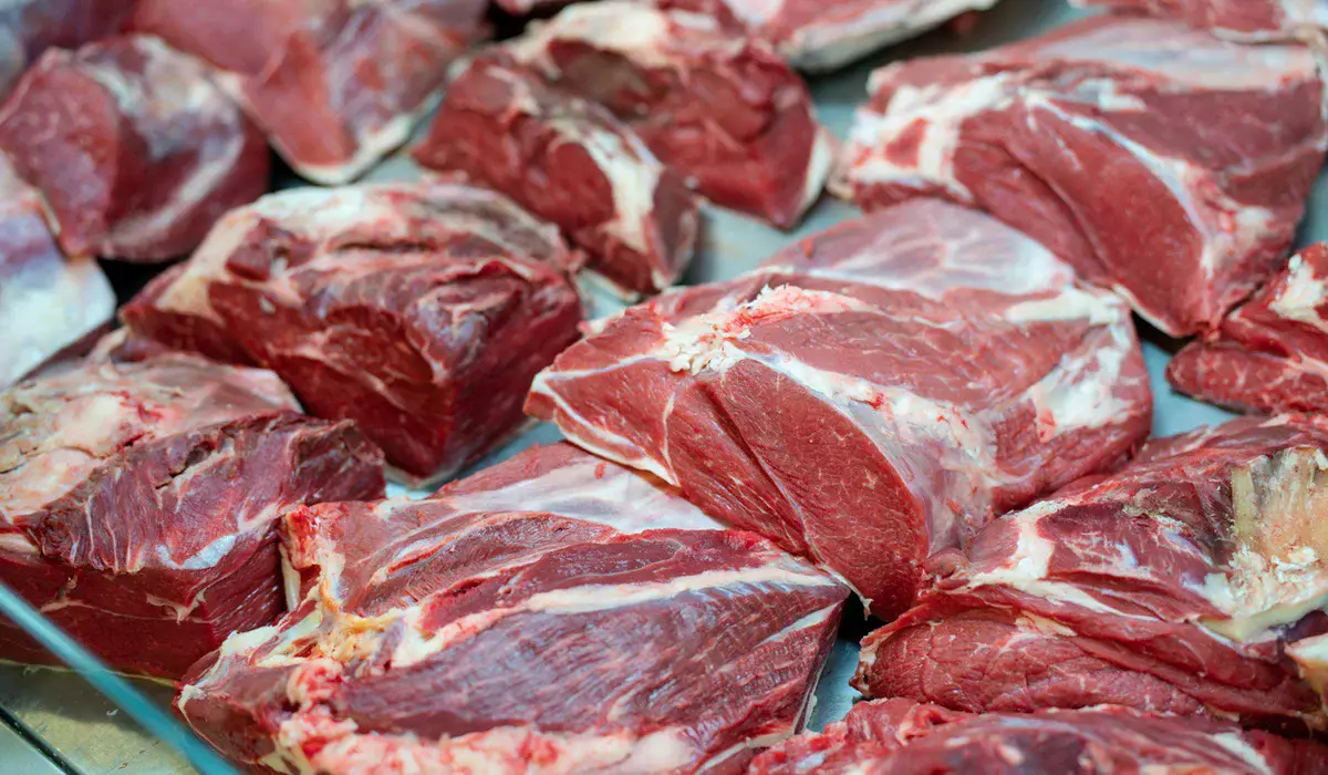 Новые правила экспорта говядины разъяснили в Казахстане