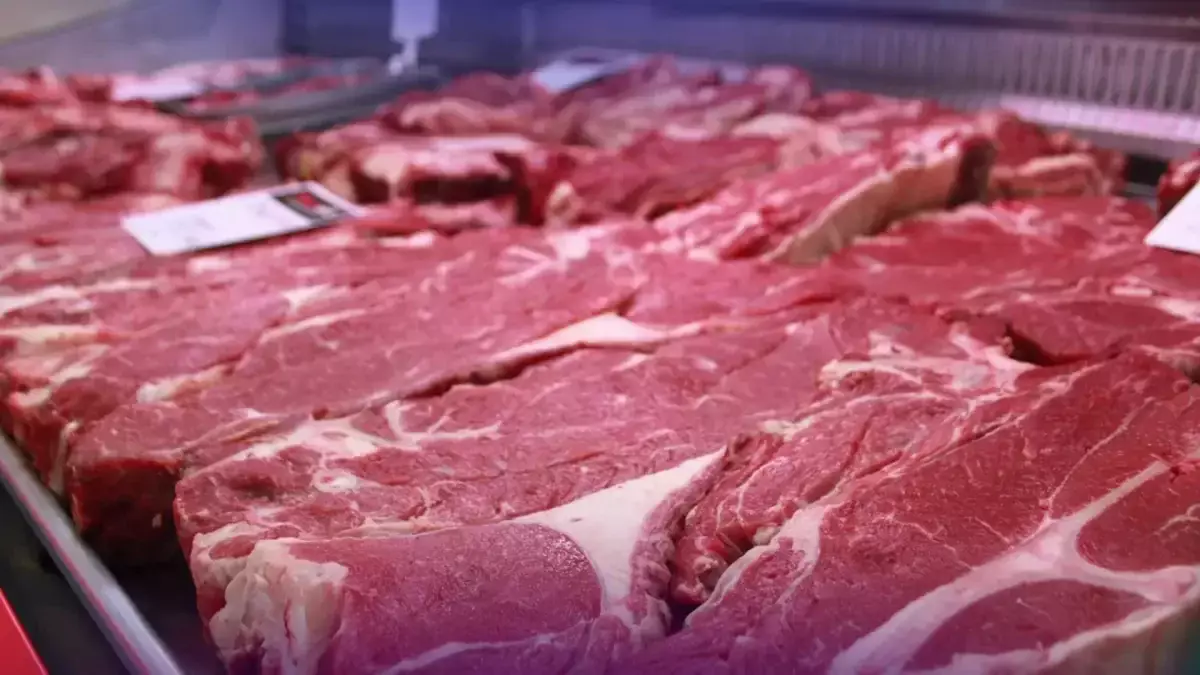 Ірі қара мал етін экспорттауға уақытша шектеулер: квота қалай бөлінеді