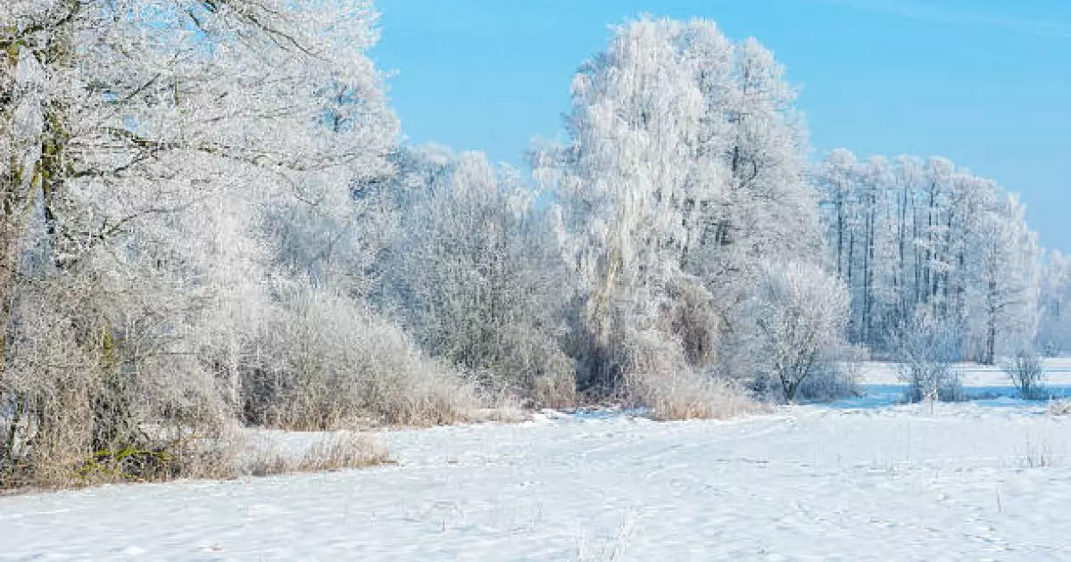  Шымкент пен Алматыда тұман түсіп, Астанада аяз болады 