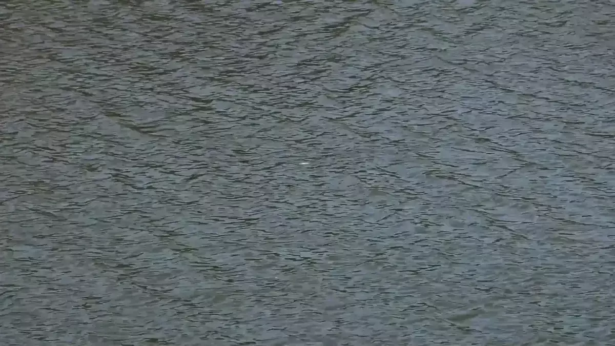 Индонезияда нөсер жаңбырдан 16 адам қаза тапты