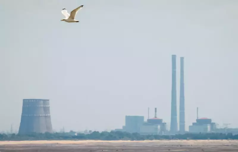 Вопрос территорий и АЭС: что будут решать Украина и США на очередных переговорах