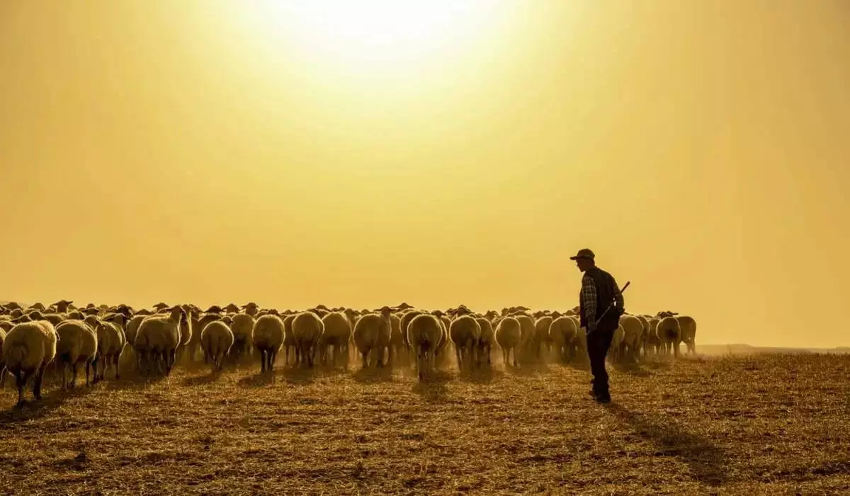 Мал шаруашылығында жұмыс істейтіндер ерте зейнетке шығуы мүмкін