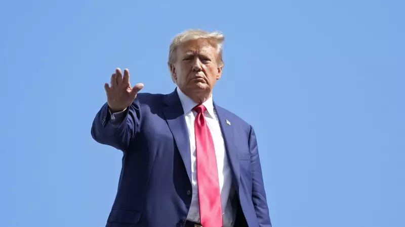 Трамп хочет купить Гренландию