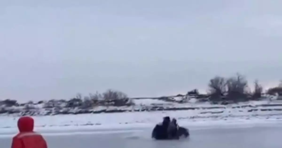  Жайық өзенінде мұз жарылып, инспекторлар мінген көлік суға батты 