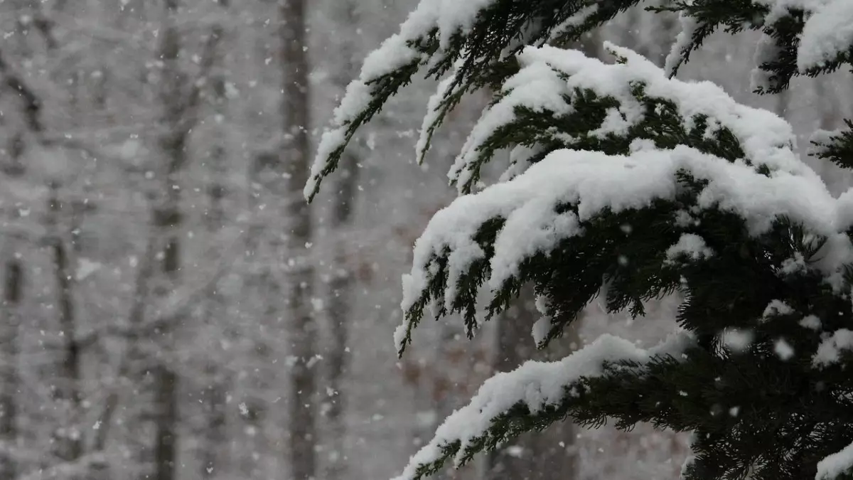 Тұман, боран, көктайғақ: 15 өңірде дауылды ескерту жарияланды