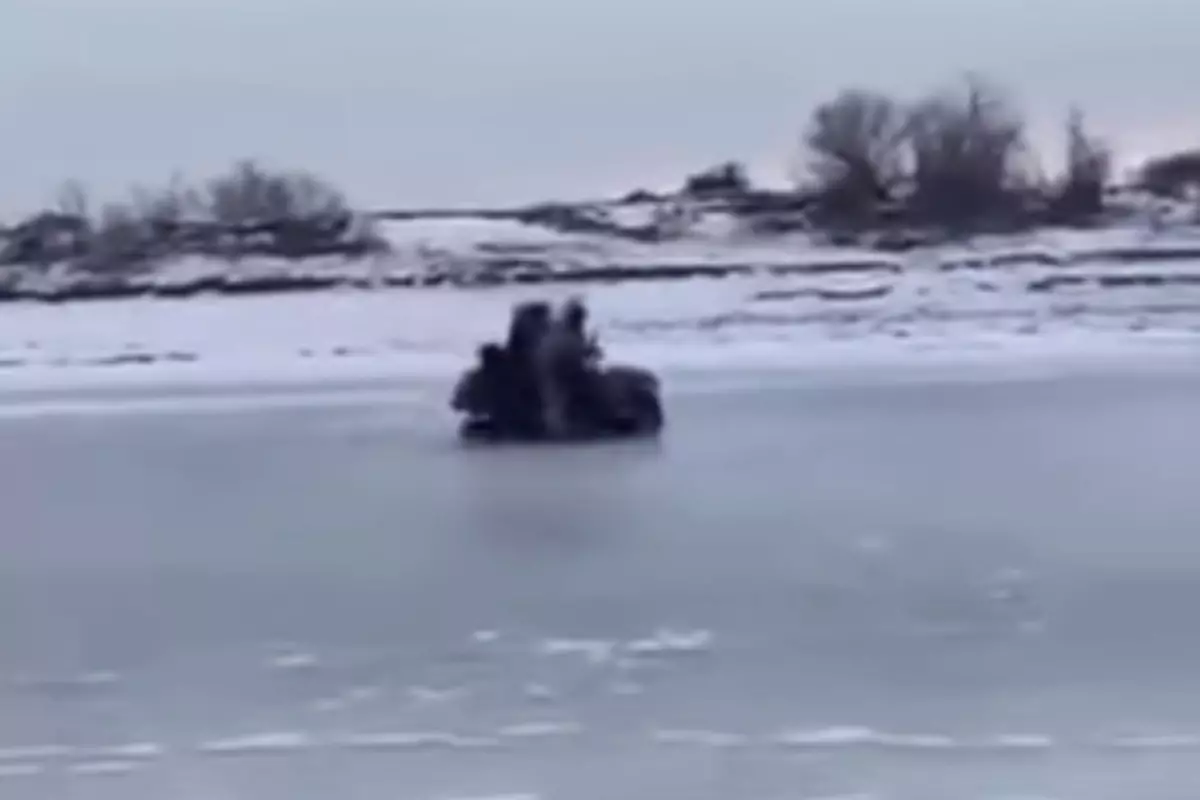На реке Урал служебный квадроцикл инспекторов ушёл под лёд