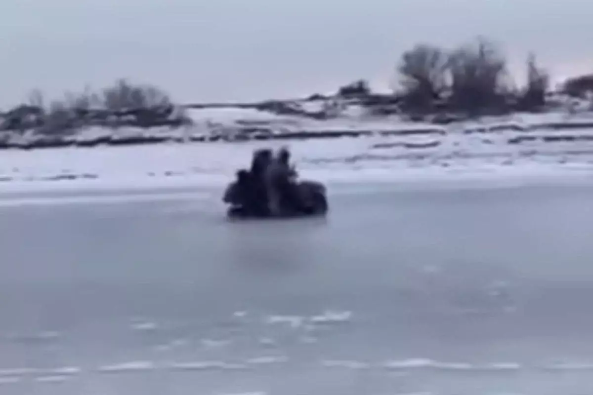 Атырауские инспекторы на квадроцикле провалились под лёд на реке Урал