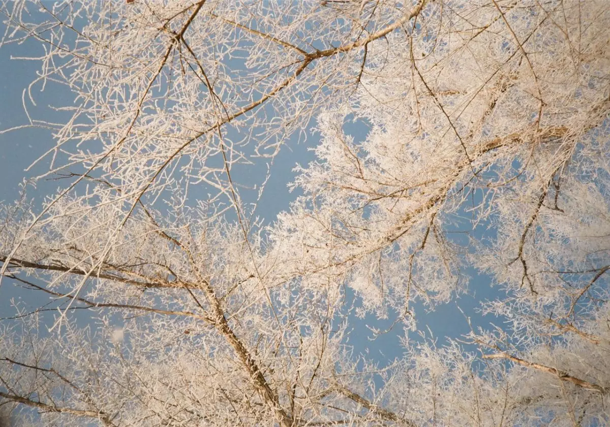 Мороз и густой туман накроют Казахстан