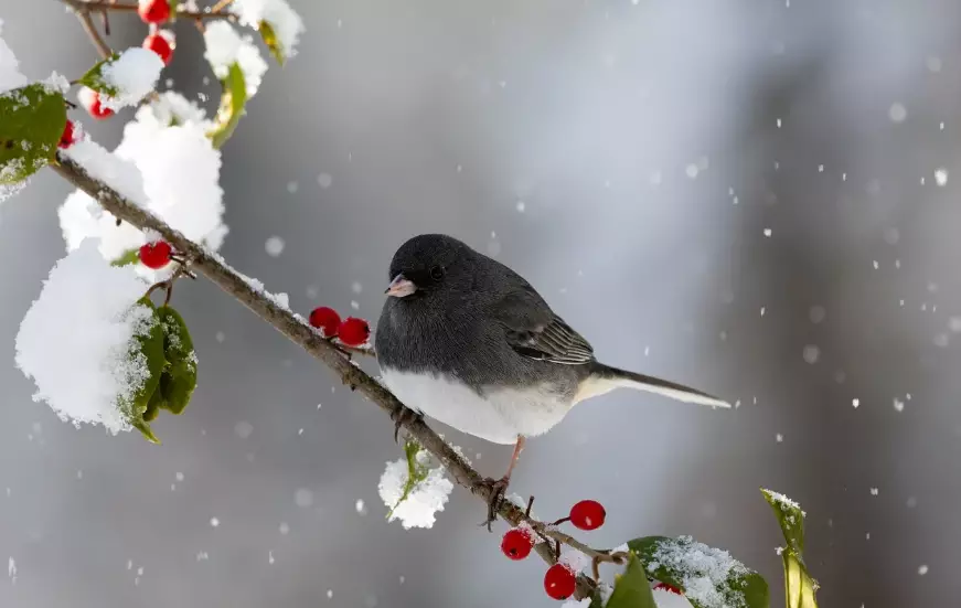 Погода без осадков ожидается в четверг в Астане, Алматы и Шымкенте